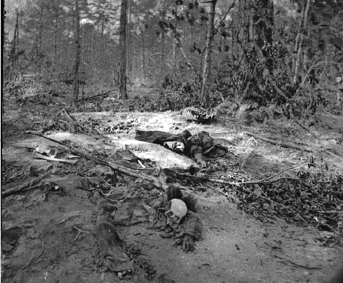 unburied dead near Cold Harbor (2).gif